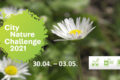City Nature Challenge 2021: diventa anche tu un Citizen scientist