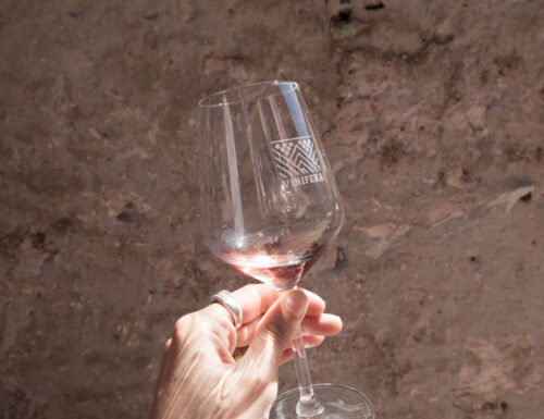 Vinifera 2022: conoscere il vino e il territorio