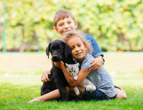 Cane e bambino: binomio da educare