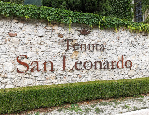 San Leonardo: l’eccellenza del vino è Cantina dell’Anno 2025