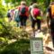 Camminare: un gesto insospettabilmente sovversivo