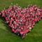 Domenica 18 ottobre approda a Trento la PittaRosso Pink Parade